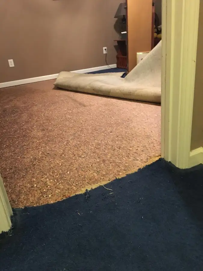 Carpet pad removal revealing water damage during Drying & Dehumidification in Bainbridge