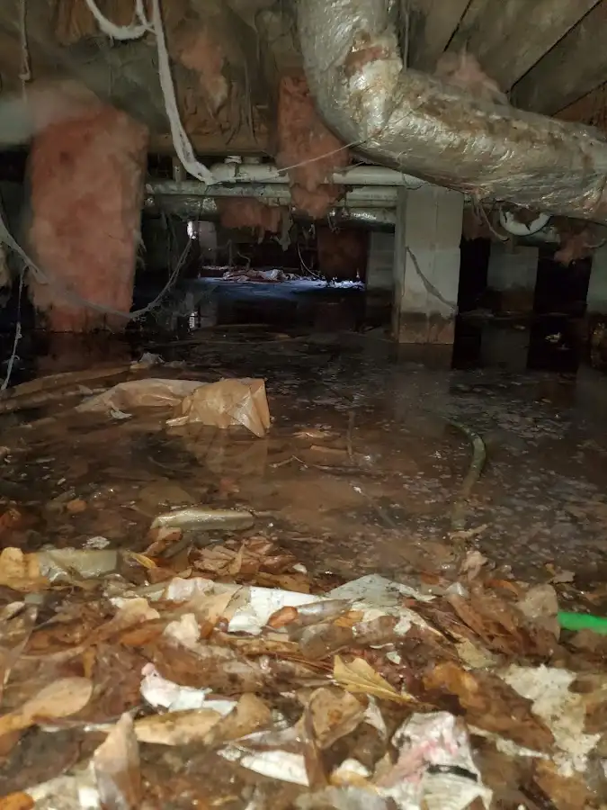 Crawl space flood assessment for Leak Detection & Repair in Bainbridge